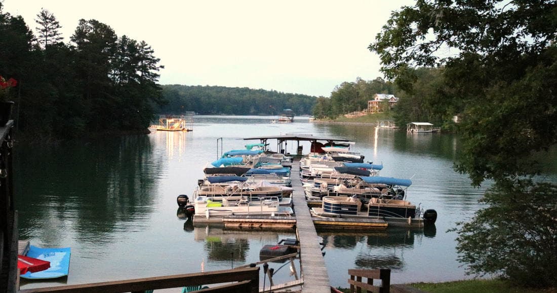 Nottely Boat Club & Marina fleet
