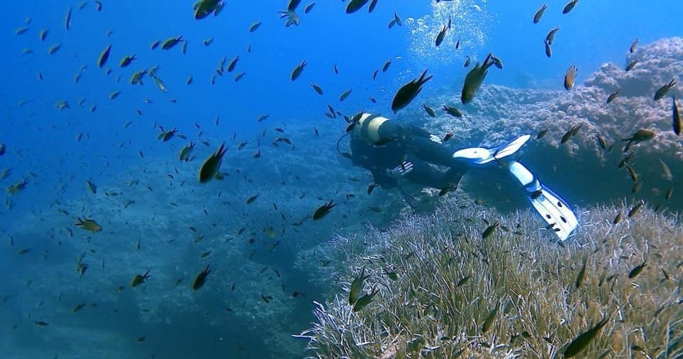Discover Menorca’s Underwater Wonders on the Snorkel Safari Boat Excursion
