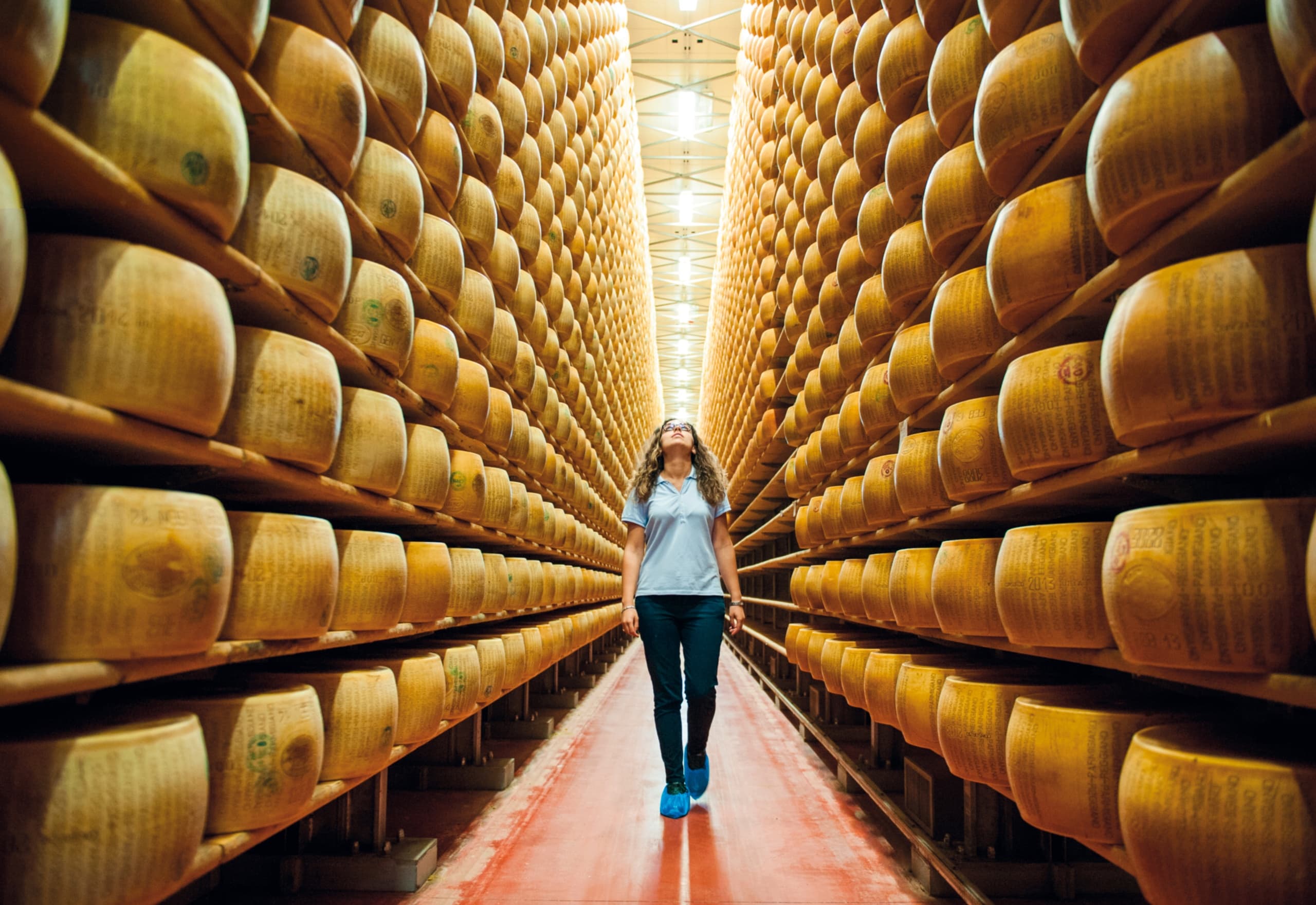 Dairy & Cheese Tasting Tour: Parmigiano Reggiano Near Bologna