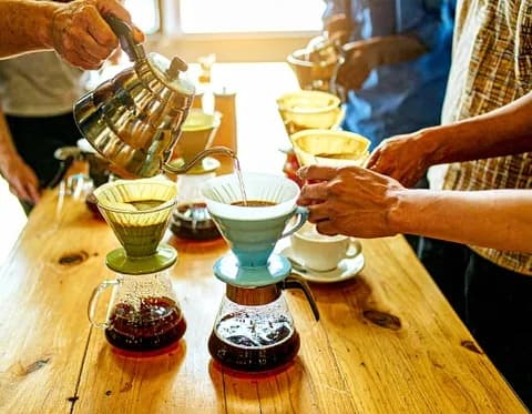 Coffee Tasting & Cultural Experience at ConTodo in Mexico