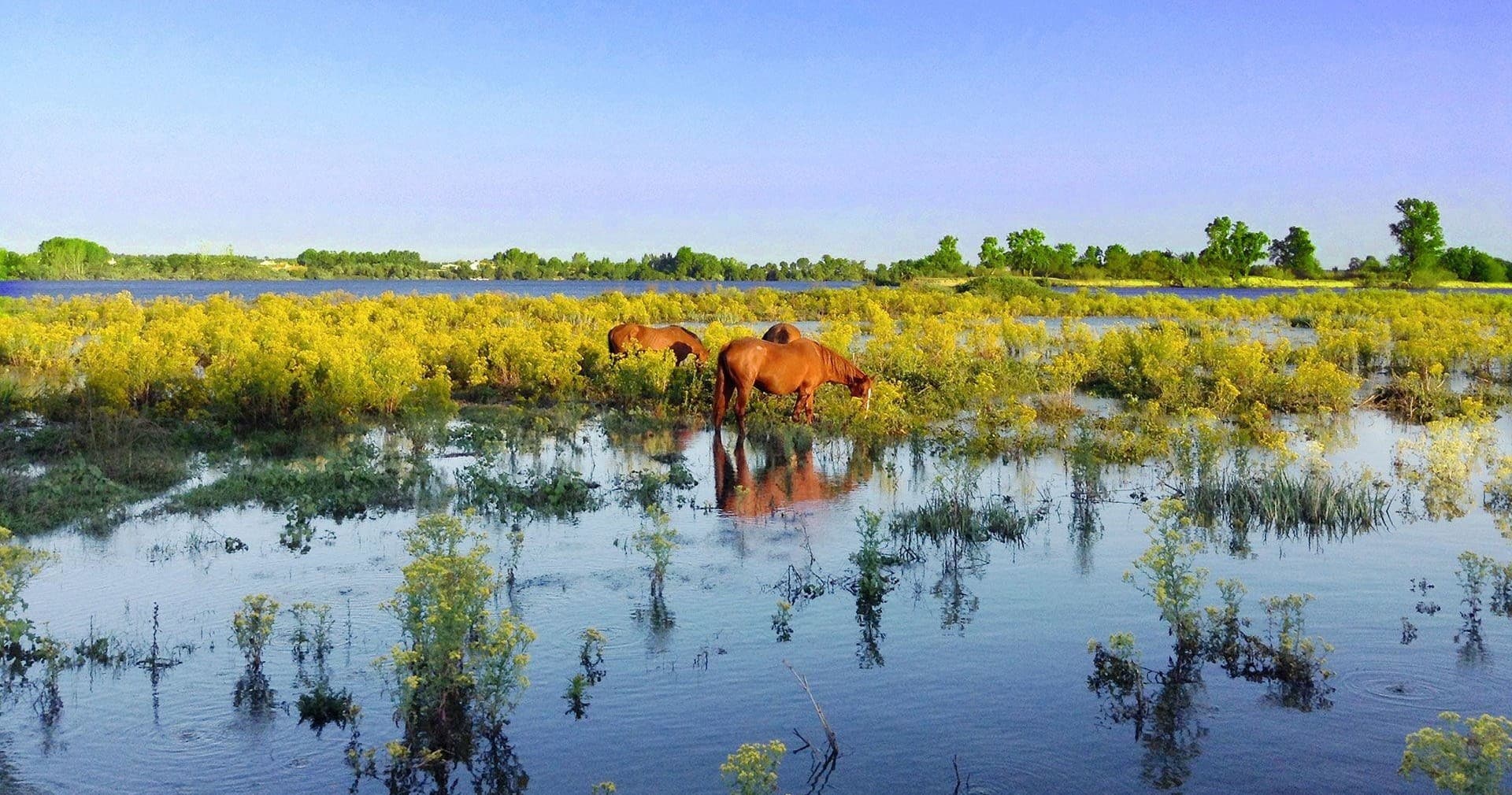 Discover the Tranquil Beauty of Rio Tejo: Passeios de Natureza Fim-de-Semana Adventure