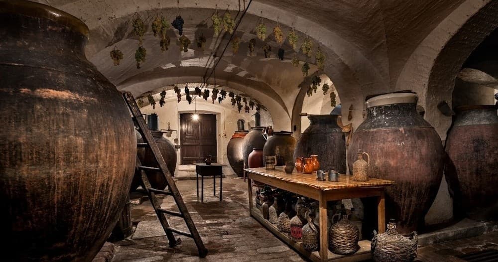 Vidigueira Full-Day Wine Tour | Guided Tour in Évora | Food Tour, Attraction, Wine