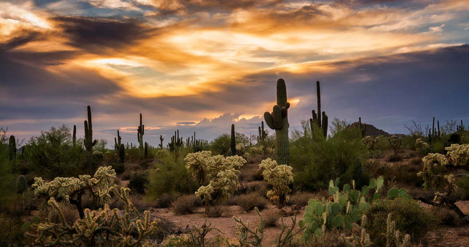 Extended Desert Voyage Adventure in Phoenix, Arizona