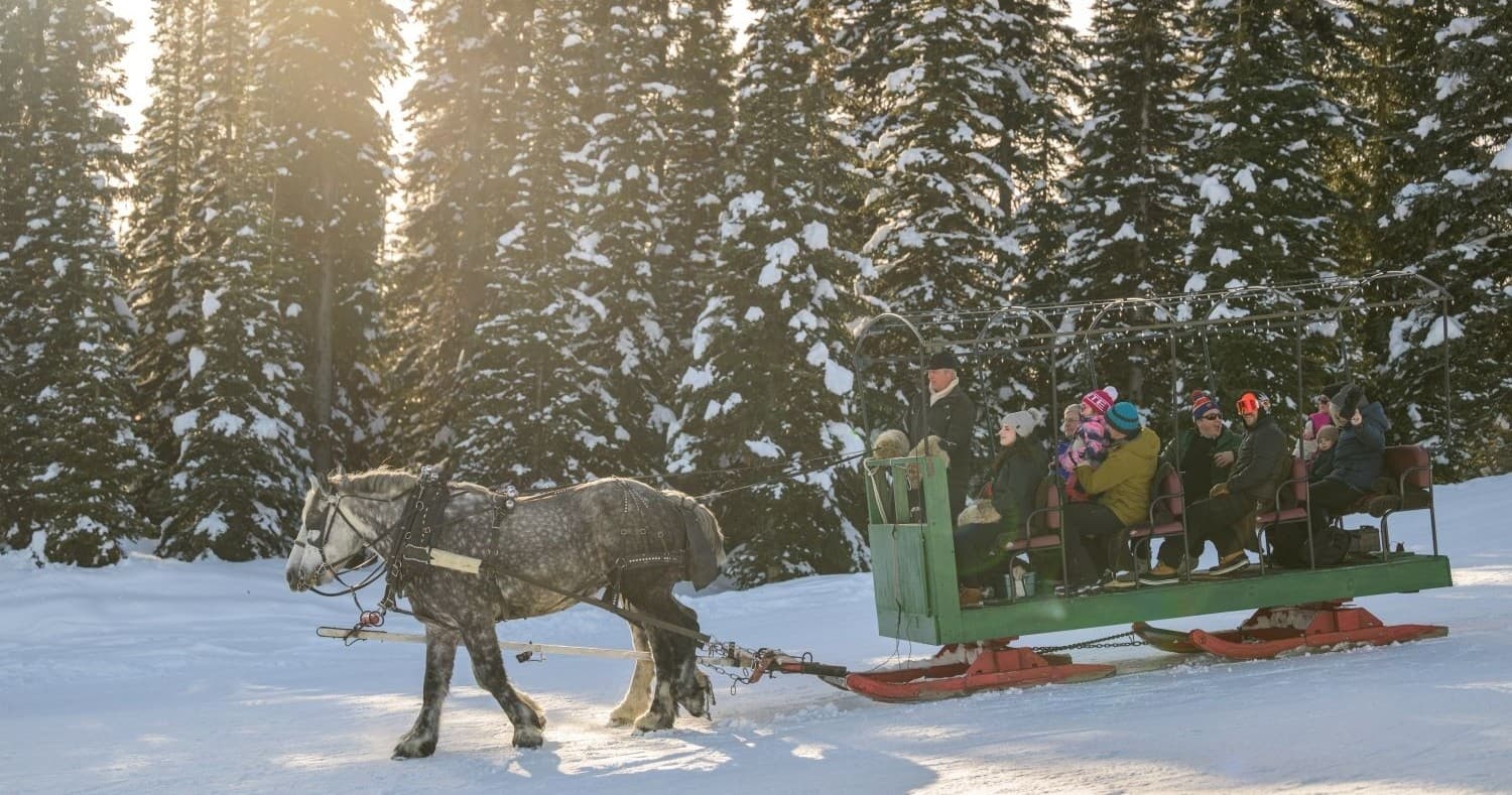 Winter horse sleigh ride with family amid sunlit evergreen forest, Big White