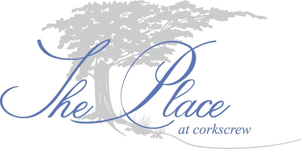 Land Adventures at The Place at Corkscrew