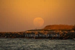 Moonlit Mysteries: Stargazing and Haunted History Boat Tour on Matanzas Bay