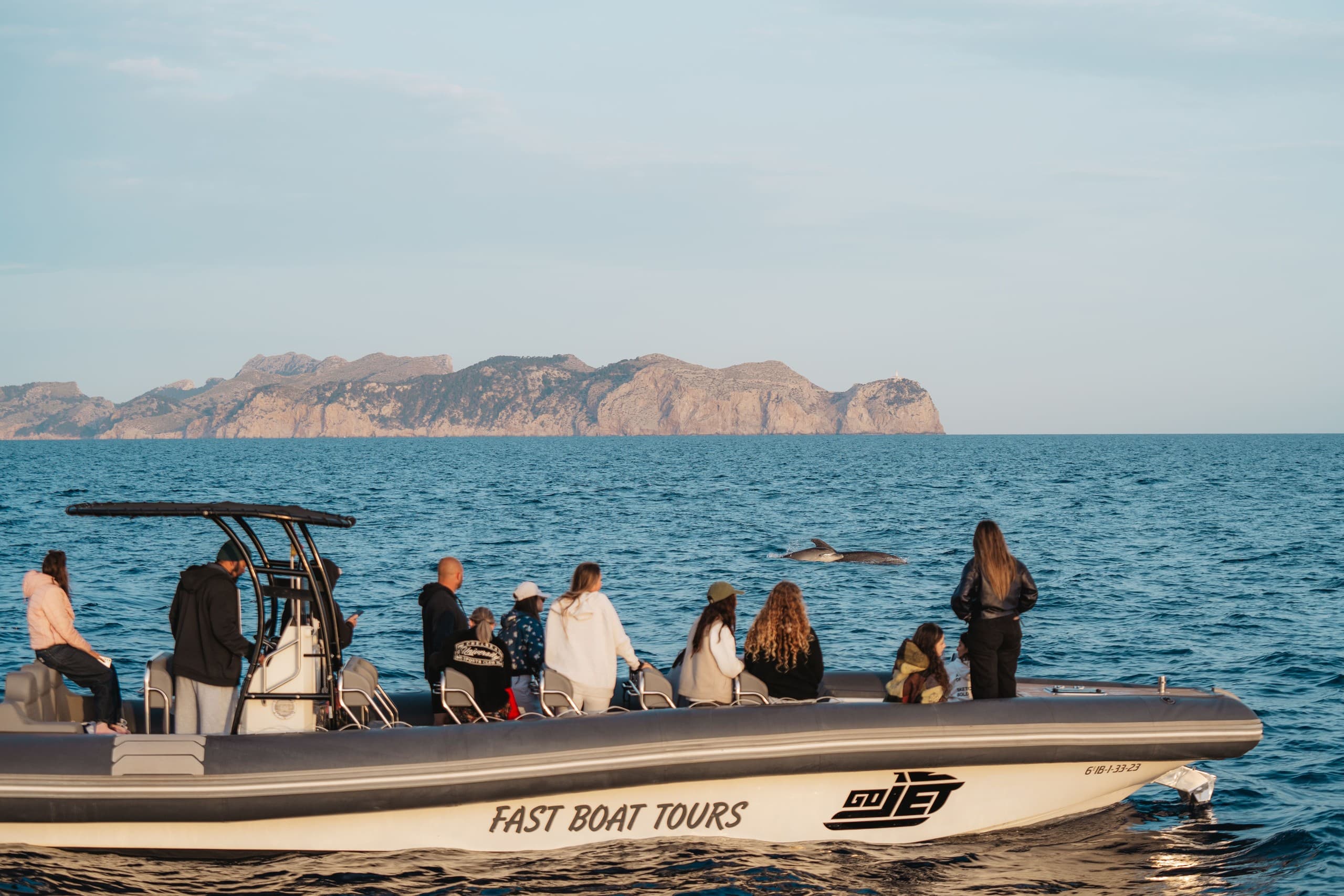 Mallorca Speedboat Dolphin Safari from Alcudia: Fast-Boat Wildlife Tours photo 2