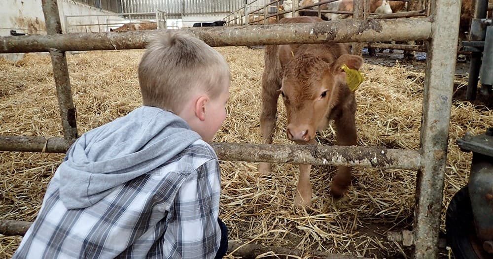 Farmyard Adventures with Bellevue Farm Tours on Arran