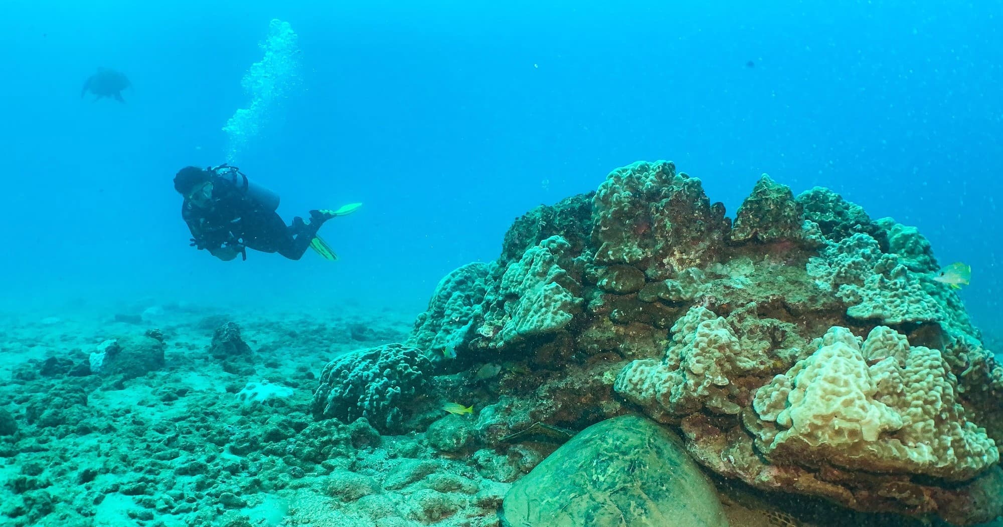 Koloa Landing Shore Dive with Fathom Five Divers