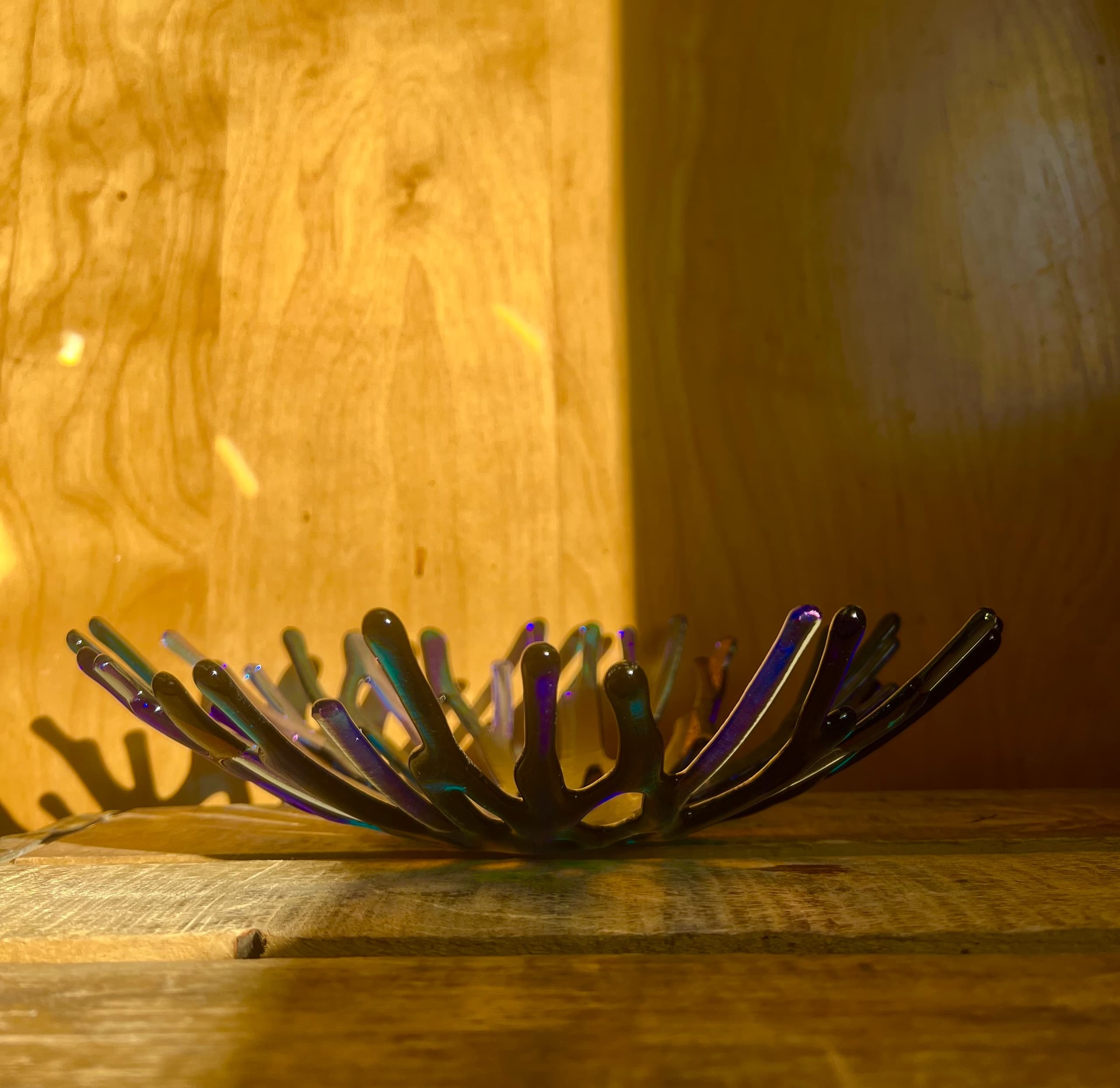 Twig Bowl Fused Glass Class in Denver: Make a 12-Inch Art Glass Bowl photo 1