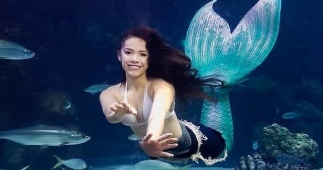 VIP Dive for Pearls at Downtown Aquarium Denver photo 1