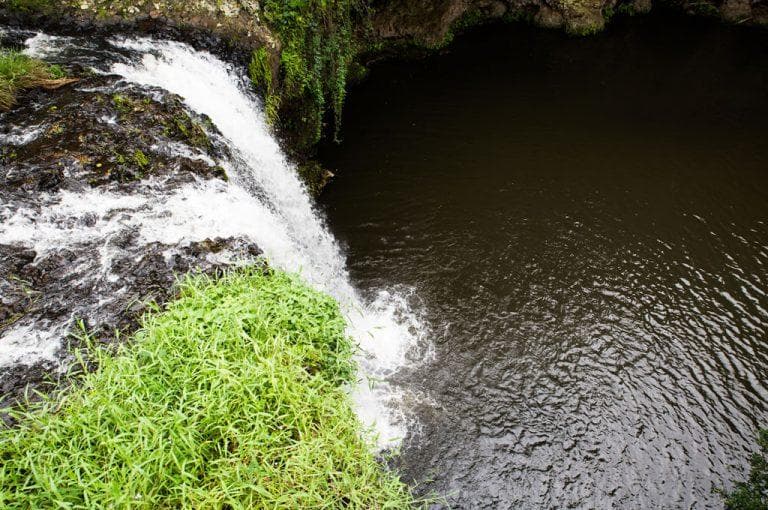Tropical waterfall flowing into forest pool on lush riverside