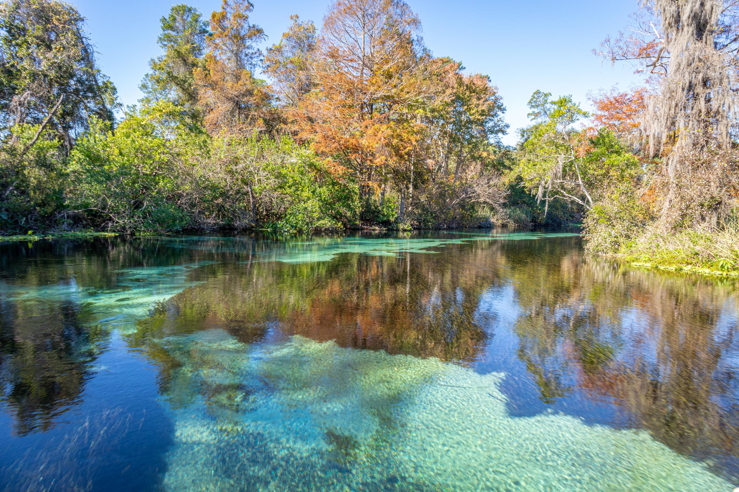 Water Activities at Weeki Wachee Springs with Weeki Fresh Water Adventures