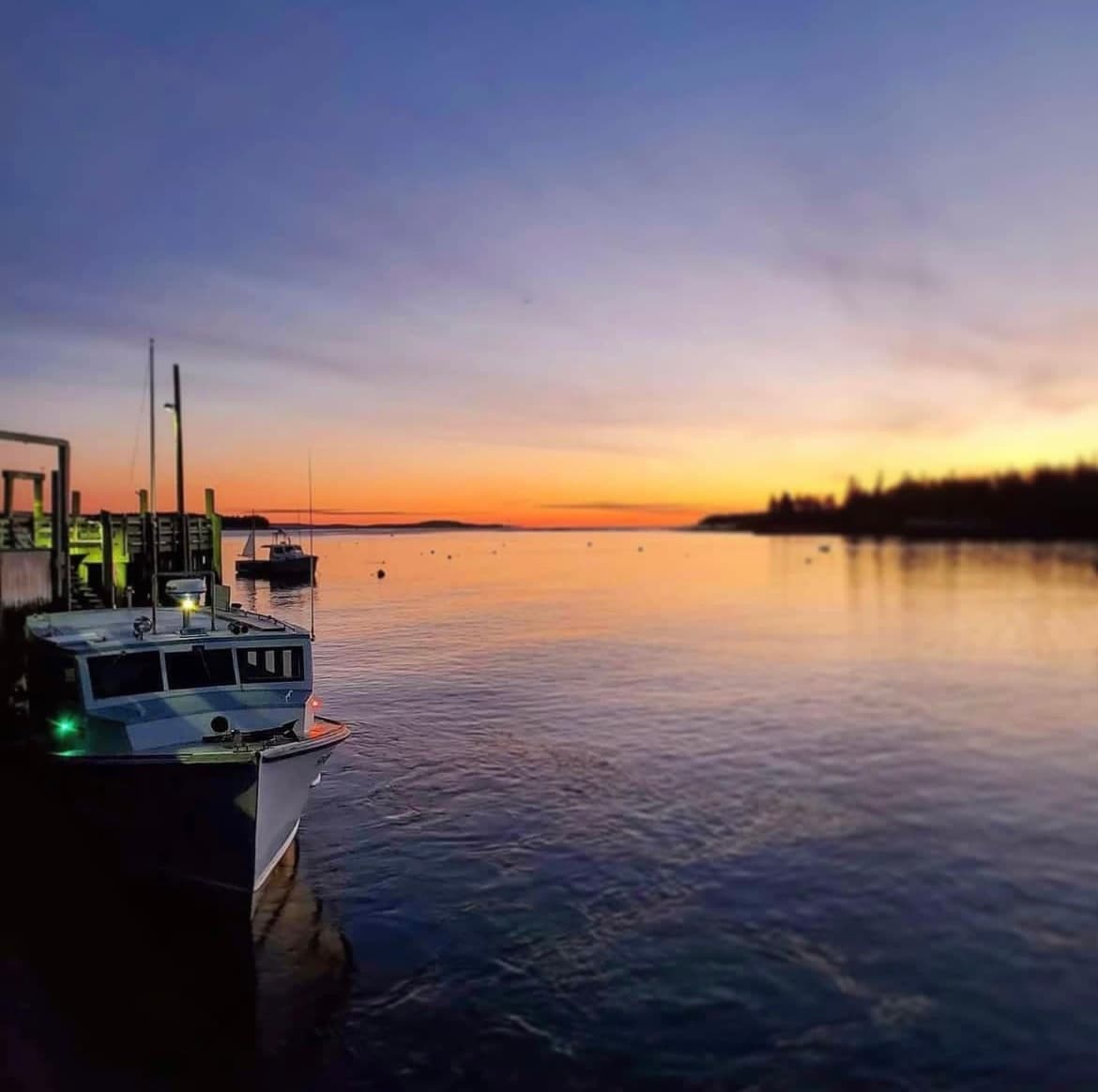 Water Activities & Ferry Adventures with Beal & Bunker in Maine