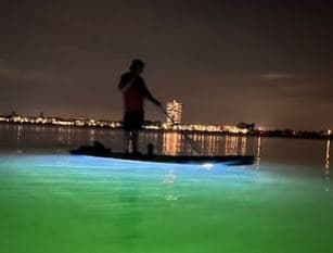 Night Paddleboard Tour with Fun Florida Tours in Sarasota