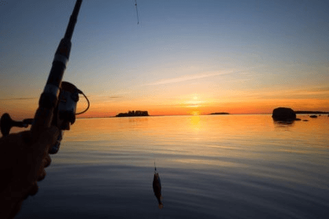 Shore Thing Charters OCNJ fleet