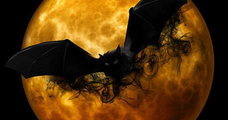 Bat silhouette flying past full moon over night sky