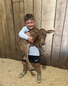 Cow Therapy in Brilliant, Alabama: Gentle Herd Sessions to Unwind on the Farm