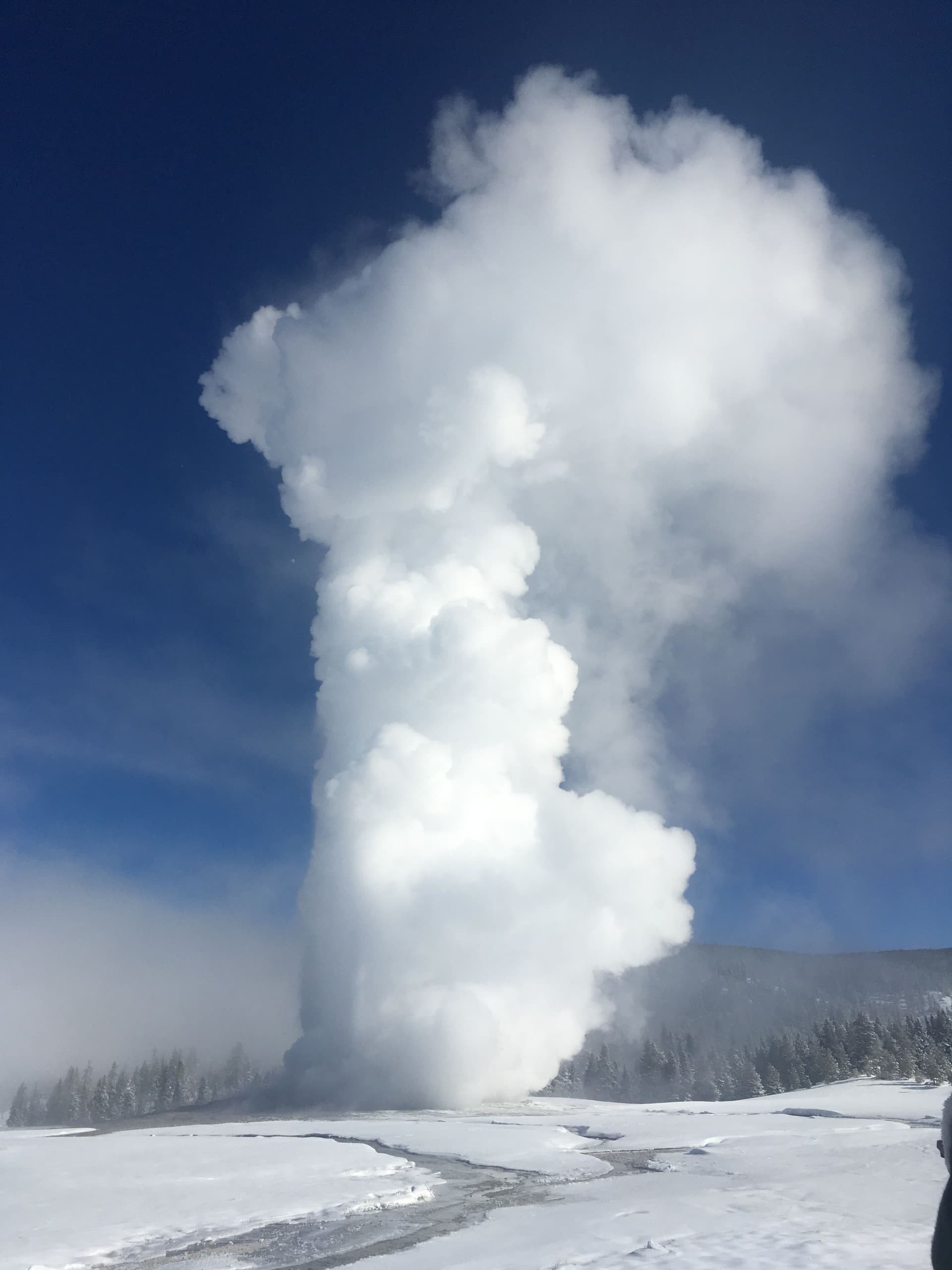 Yellowstone Snowcoach to Old Faithful: Winter Geysers, Wildlife & Scenic Snow Travel
