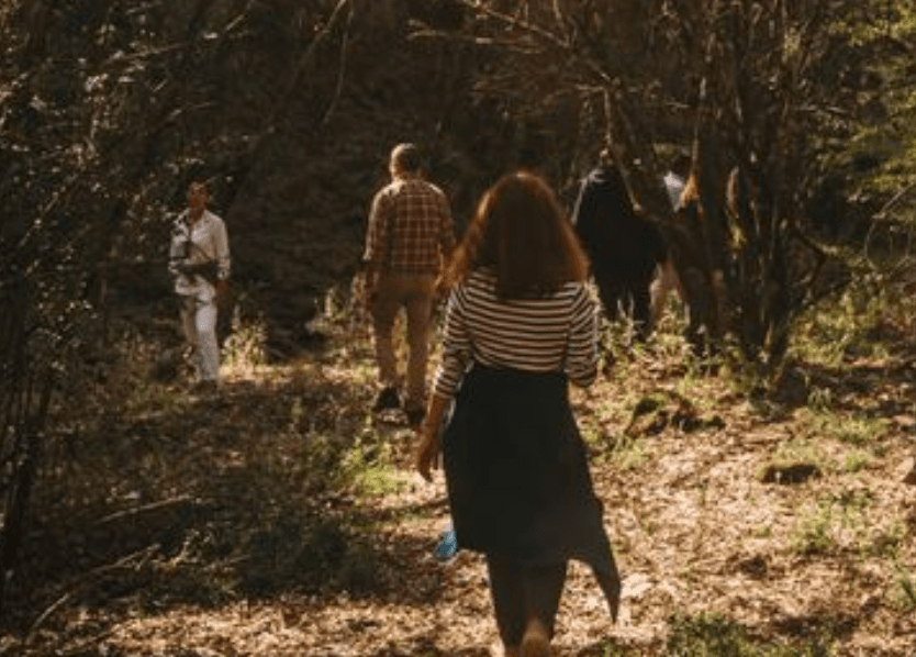Caminho da Ervedosa at Quinta de Ventozelo in Douro Valley