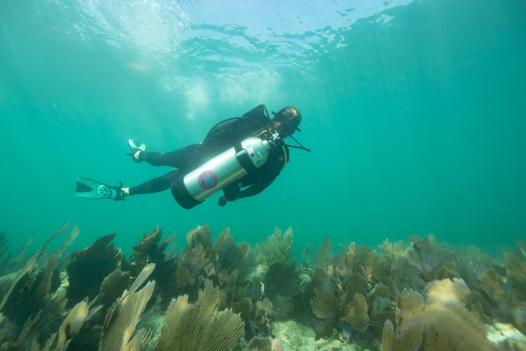 Scuba Gear Rentals