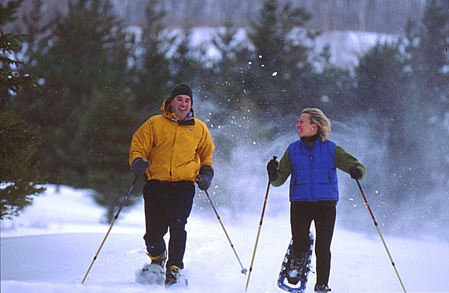 Snowshoe Tour in Big Bear Lake, California