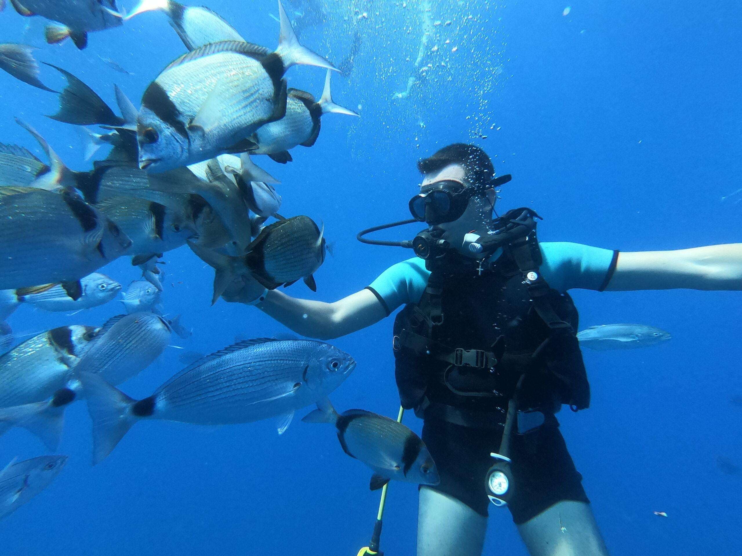 Diving Zenobia Wreck with Larnaca Napa Sea Cruises