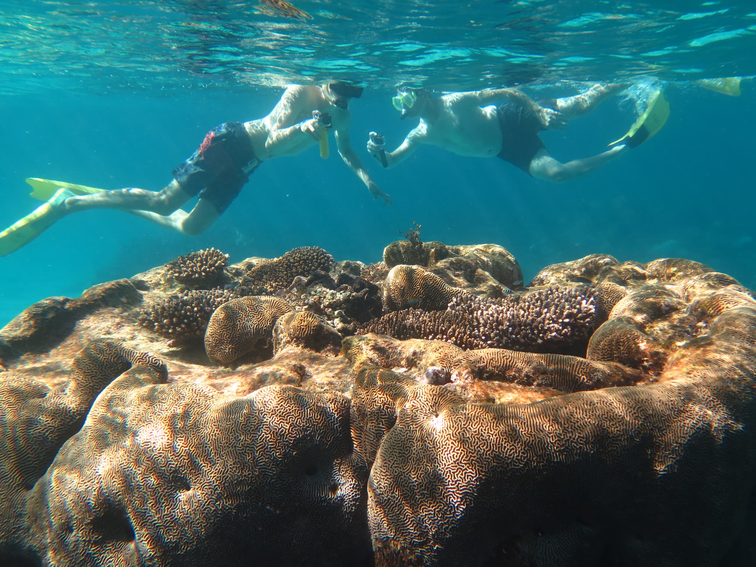 Water Activities at Ningaloo with Coral Coast Tours
