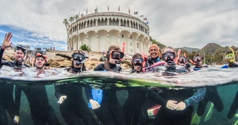Catalina’s Casino Point Guided Snorkel — Kelp Forests, Garibaldi & Giant Sea Bass