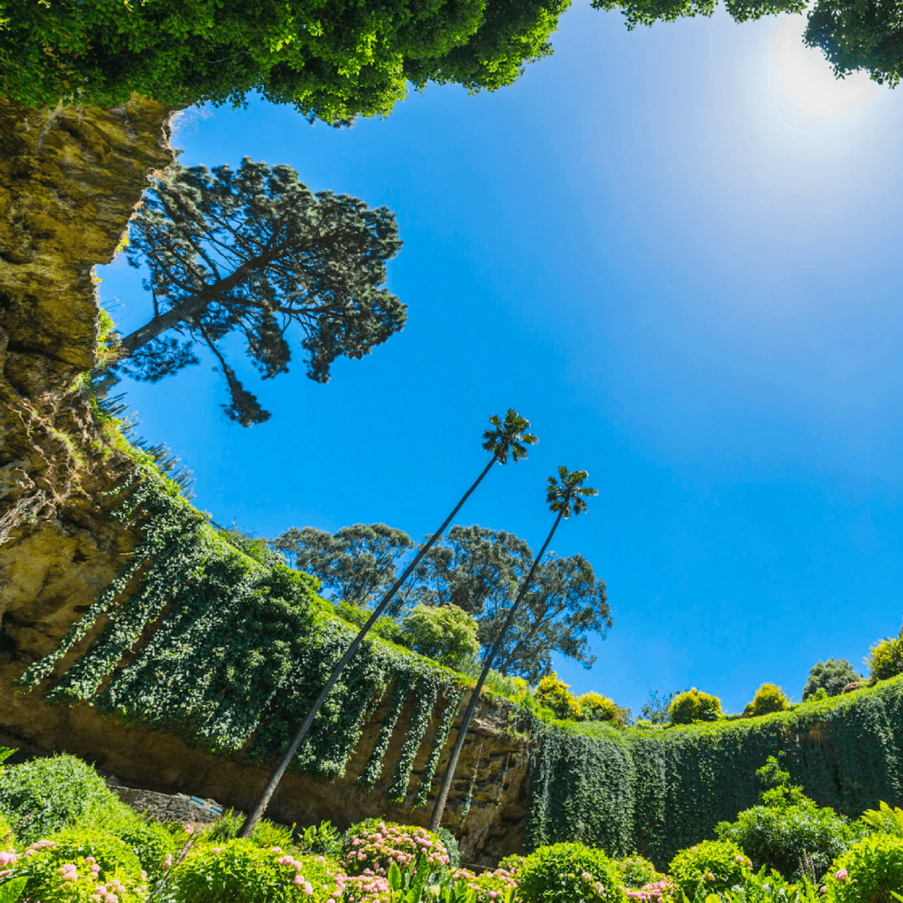 Wine & Heritage Adventure in South Australia with Avia Aviation