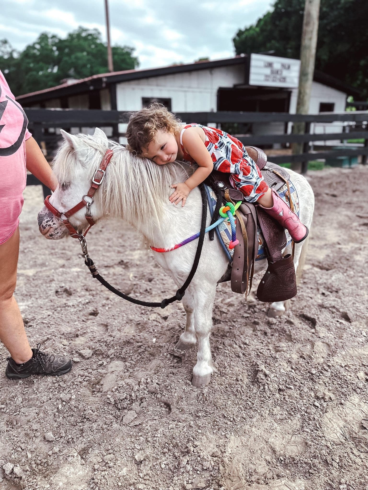 Pony Riding Experience in Pinellas Park, Florida