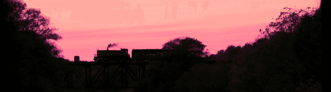 Valentrain Dinner Experience: Romantic Dinner Train from St. Jacobs to Elmira