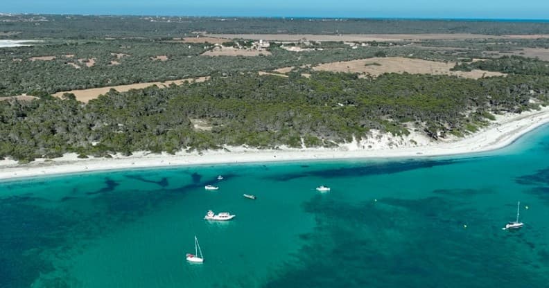 Direct Boat Transfer to Es Trenc Beach from Playa de Palma photo 2