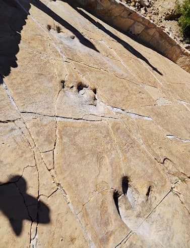 Dinosaur Tracks at Esqueda: Cross-Border Day Trip from Bisbee