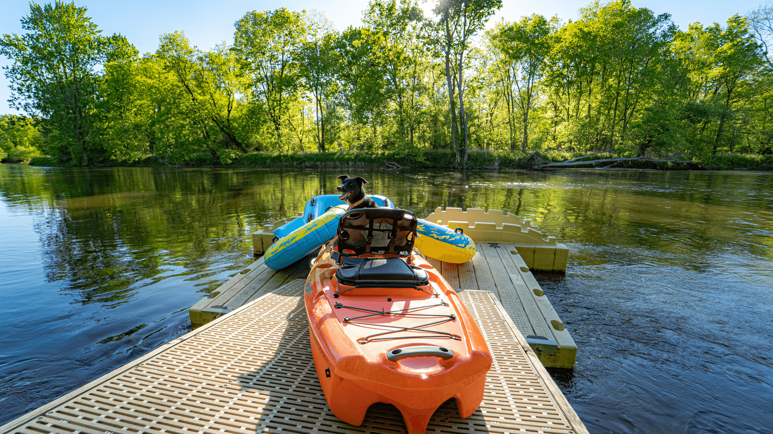 Water Activities: Chesaning Rentals River Float Experience