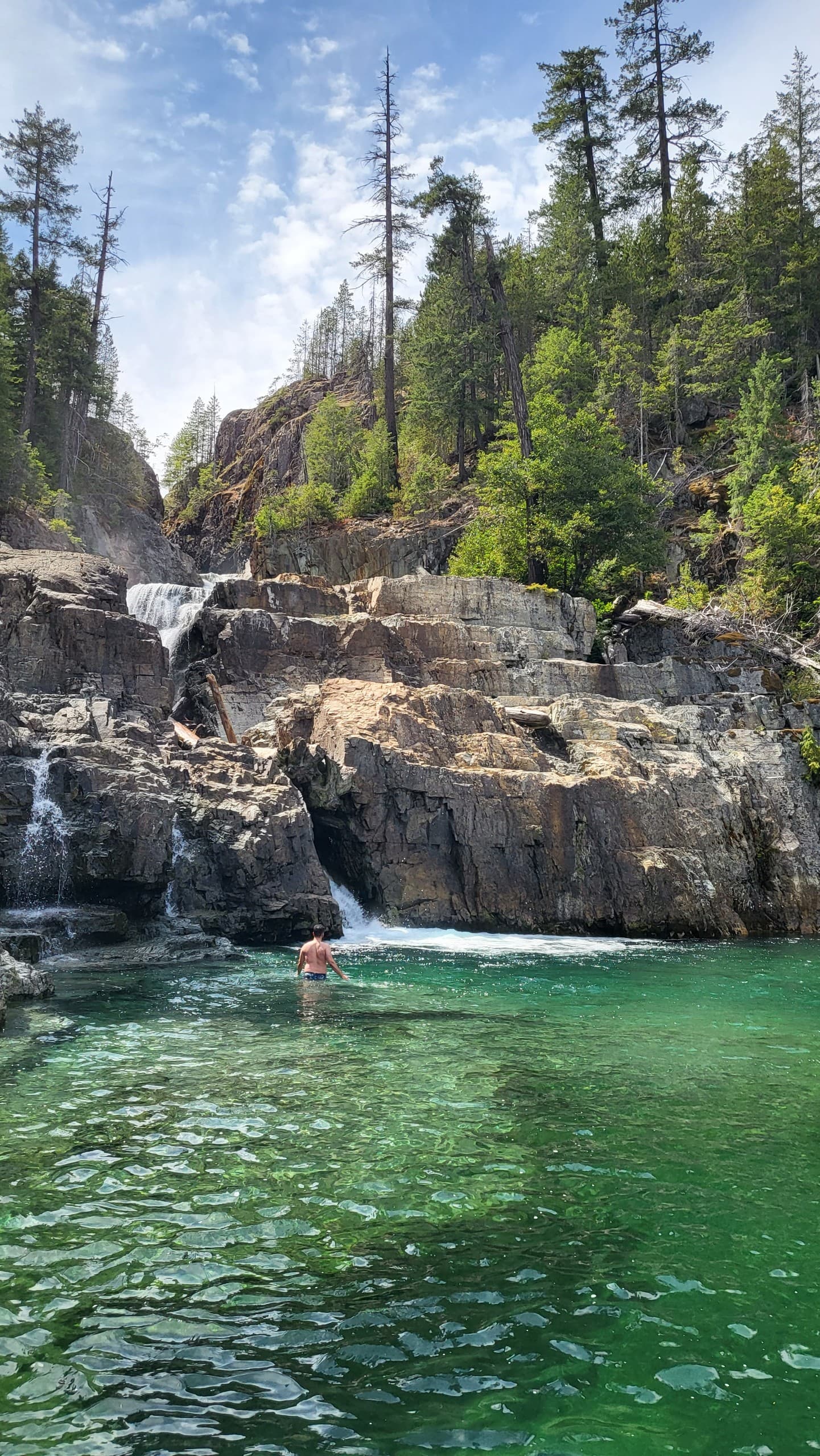 Vancouver Island 6-Day Adventure: Whales, Giant Trees & Rainforest Lodges photo 2