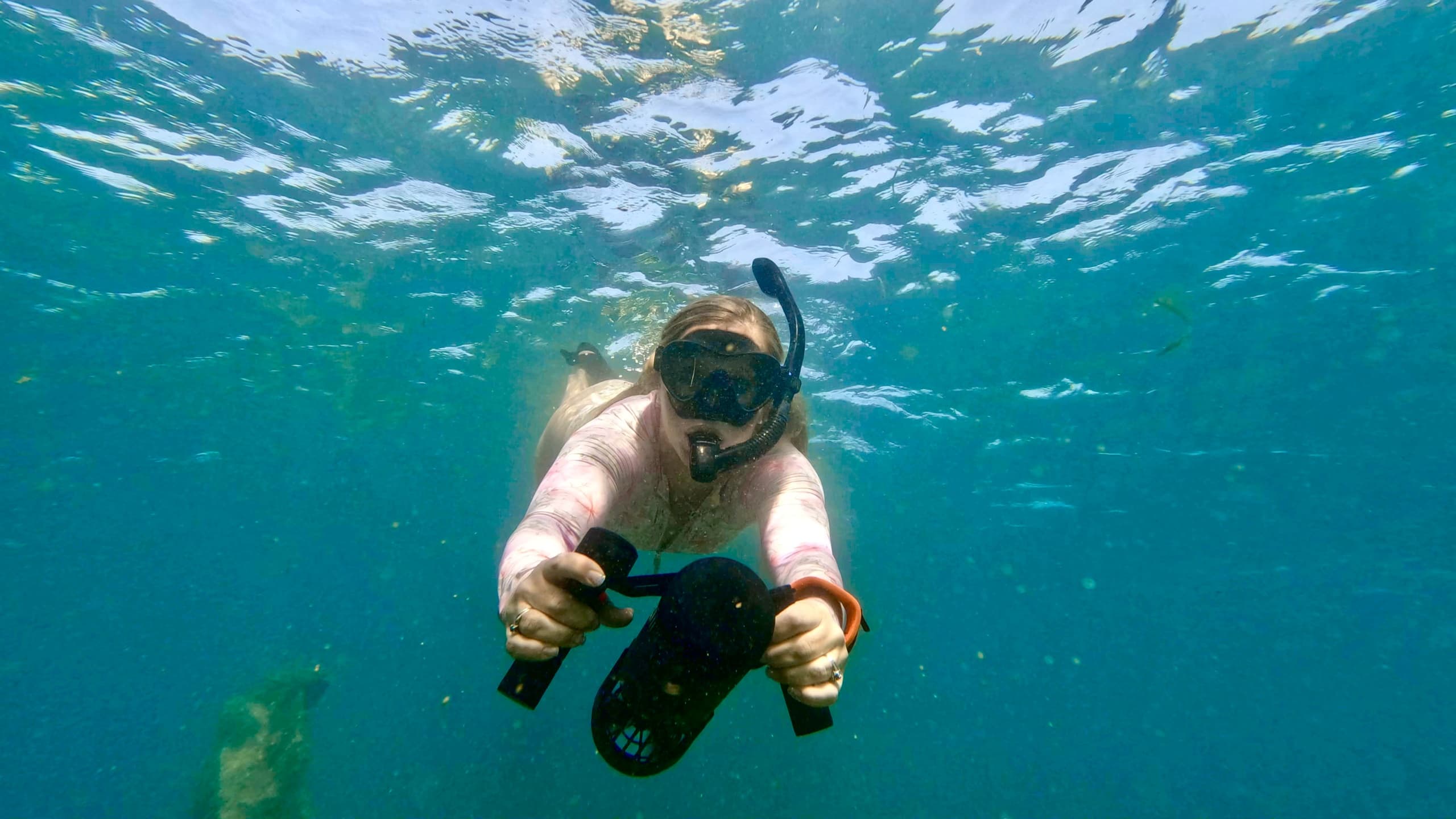 Explore Vibrant Coral Reefs with Jet Snorkel Tours in West Palm Beach