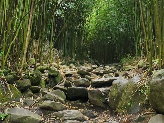 Hiking Adventures with JourneyJill LLC in Maui