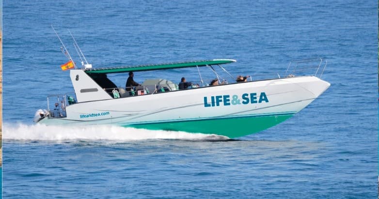 Discovery Tour Illetas: Boat Tour to Hidden Coves and Palma Views photo 4