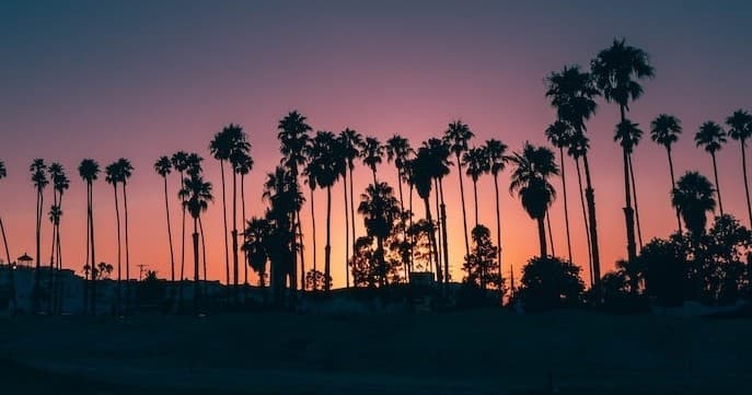 Experience the Magic of Santa Barbara Night Flight