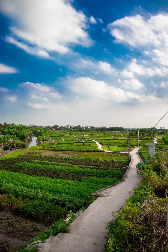 Photo Tour of Hanoi’s Rice Fields with Photoexploring