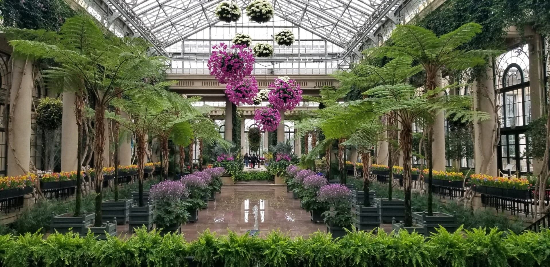 Exploring America’s Garden Capital: A 3-Day Spring Journey Through Brandywine Valley’s Stunning Public Gardens