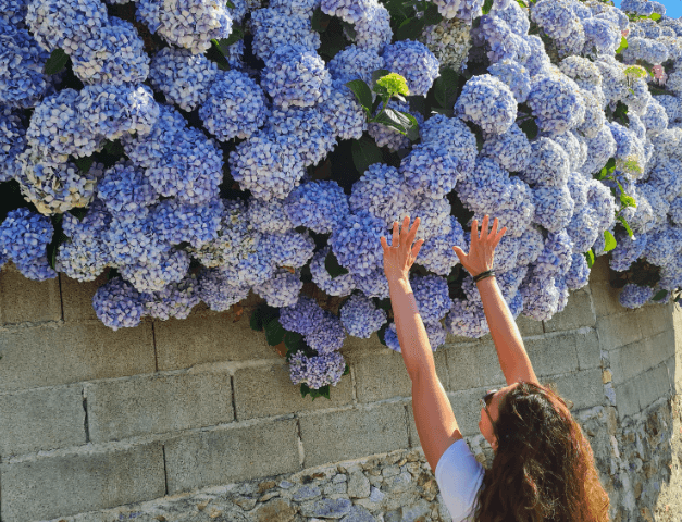 Walking Tour of Arda with Following Emotions in Porto