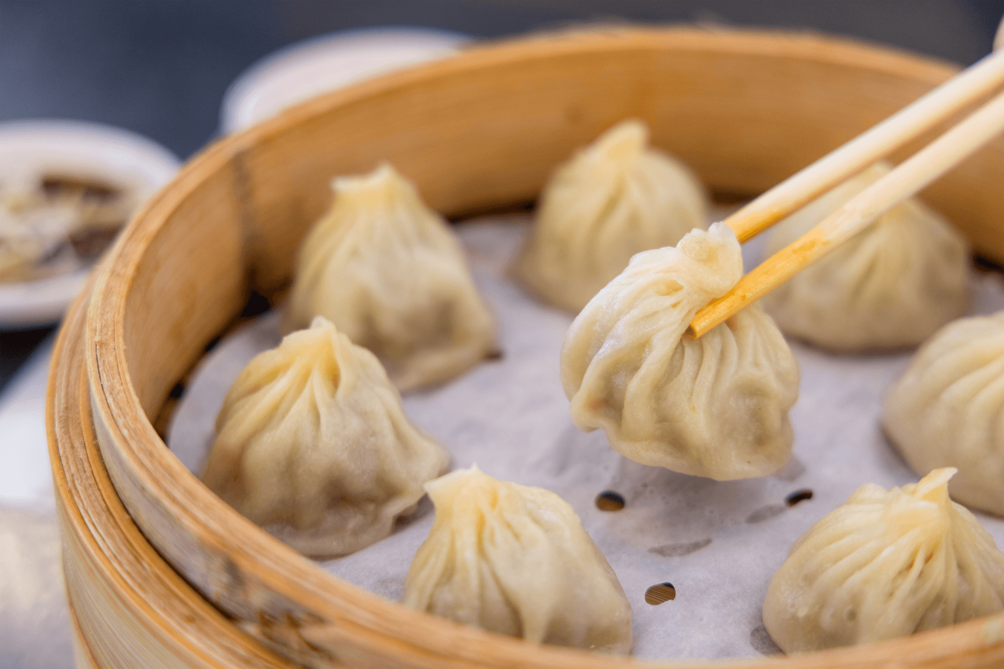 Master Handmade Soup Dumplings in Boston’s Best Dumpling Class