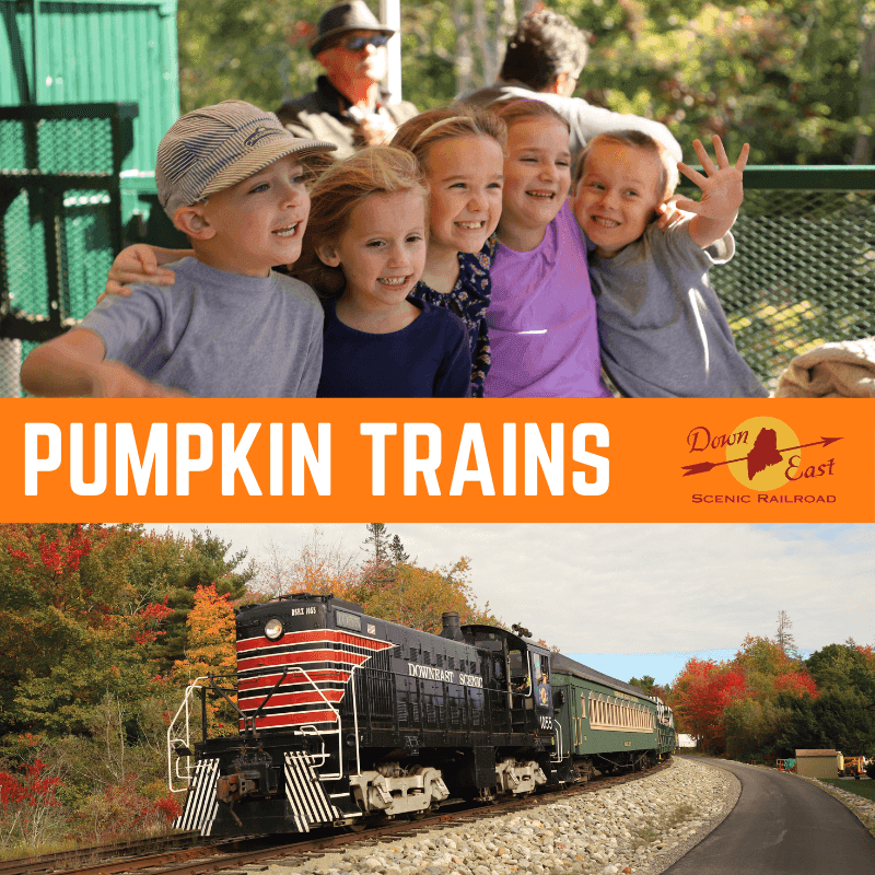 Downeast Scenic Railroad fleet