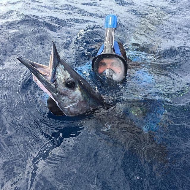 Water Activities: Spearfishing on Lucky Seven by Indigo Adventures