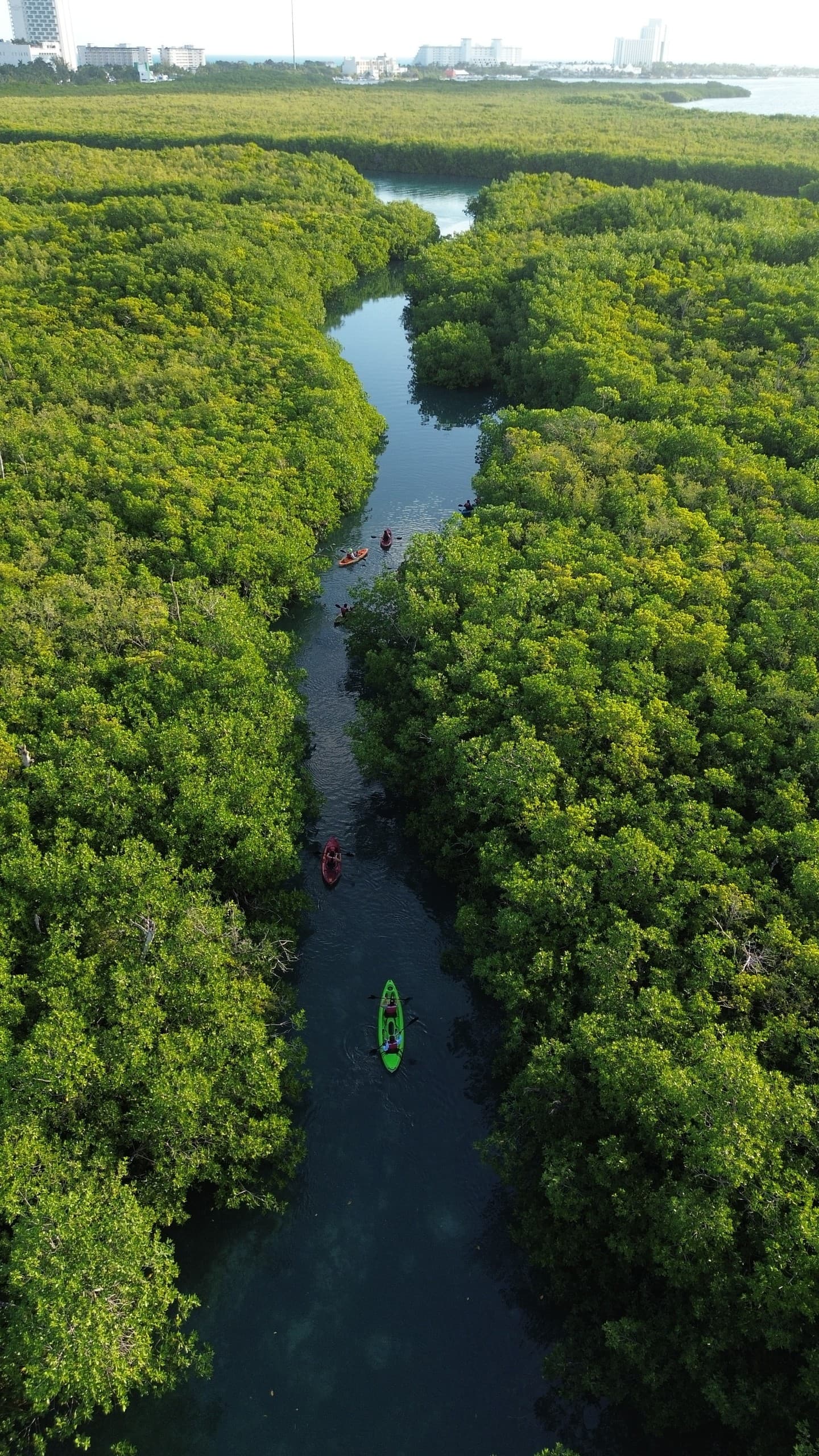 Morning Kayak in Laguna Nichupté: Guided Mangrove Paddle From Cancún photo 2