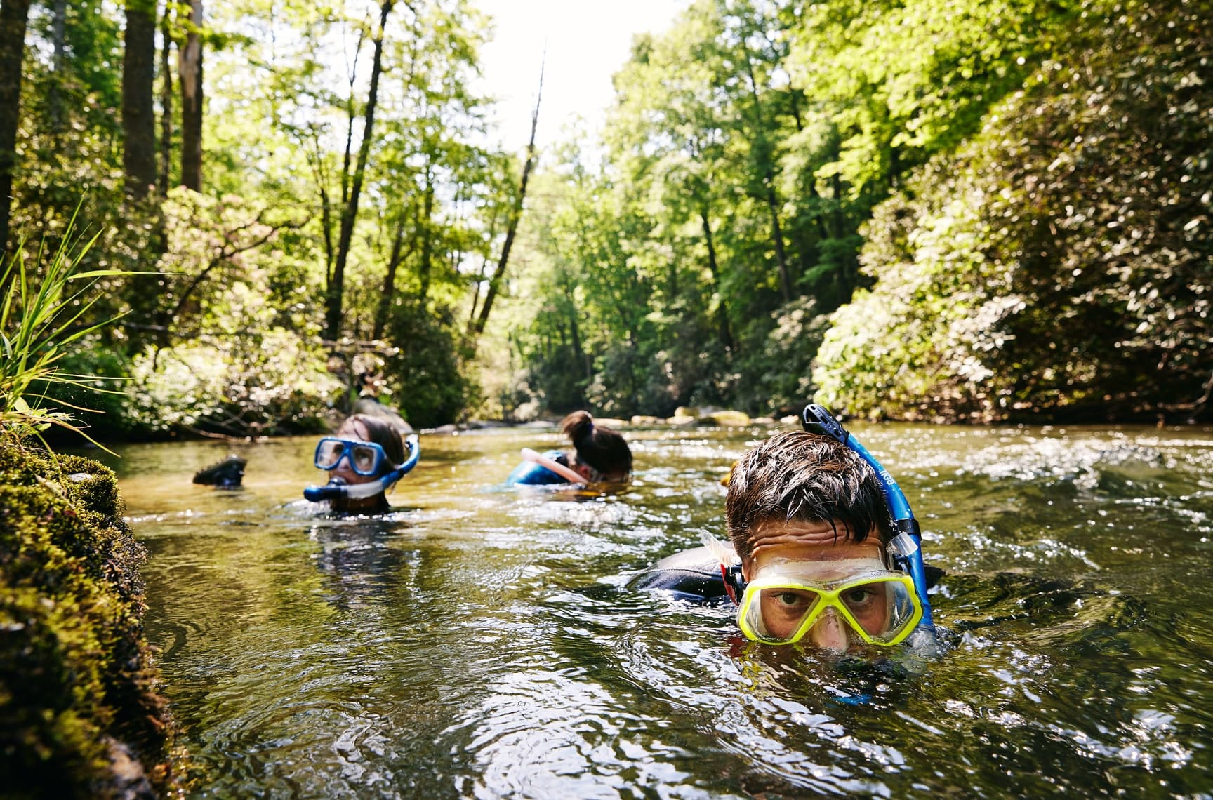 Group river snorkeling in shaded forest stream, summer adventure