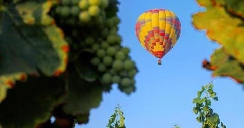 Balloon Rides in Temecula: Private Sunrise Flights Over Wine Country