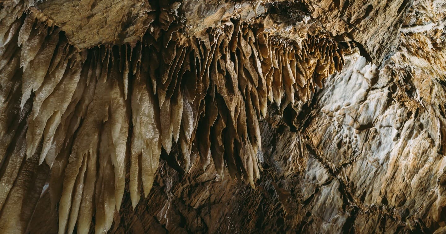 Group Tours at Black Chasm Cavern in California